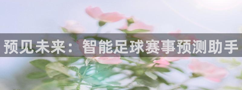 预见未来：智能足球赛事预测助手