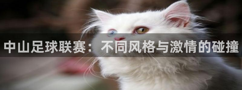 中山足球联赛：不同风格与激情的碰撞