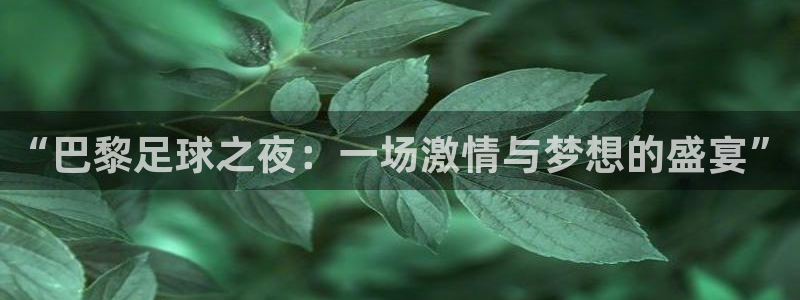 “巴黎足球之夜：一场激情与梦想的盛宴”