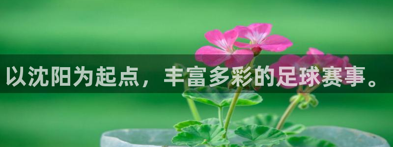  以沈阳为起点，丰富多彩的足球赛事。
