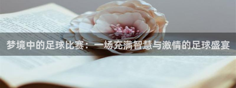 梦境中的足球比赛：一场充满智慧与激情的足球盛宴