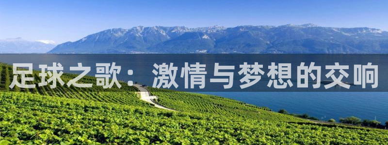 足球之歌：激情与梦想的交响