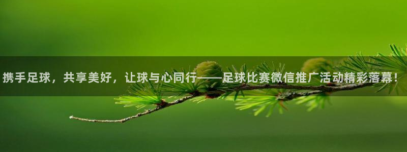  携手足球，共享美好，让球与心同行——足球比赛微信推广活动精彩