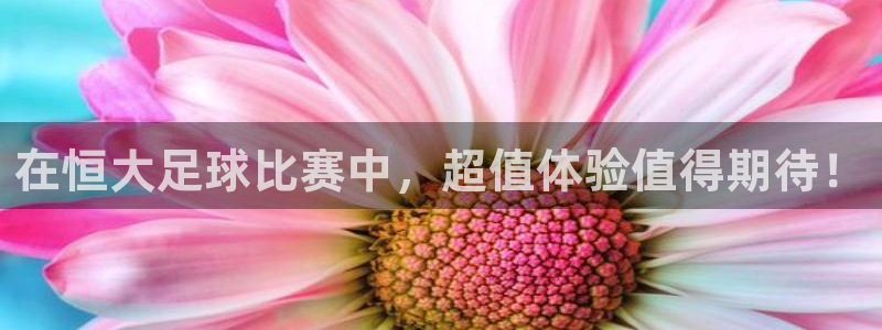  在恒大足球比赛中，超值体验值得期待！