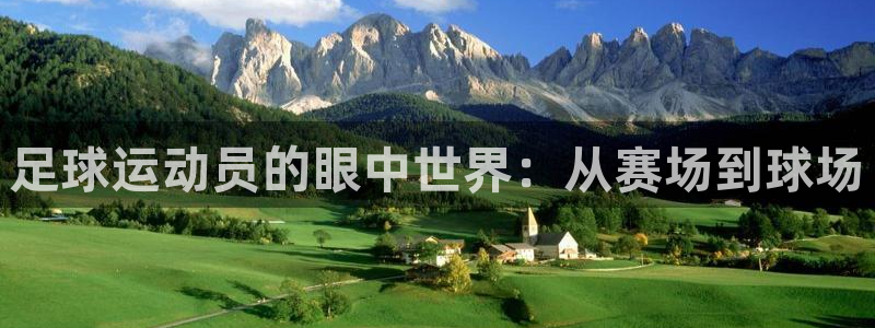  足球运动员的眼中世界：从赛场到球场