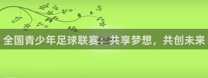 全国青少年足球联赛：共享梦想，共创未来