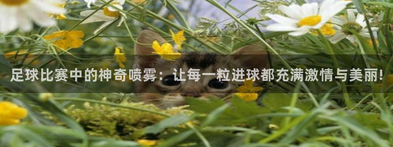  足球比赛中的神奇喷雾：让每一粒进球都充满激情与美丽!