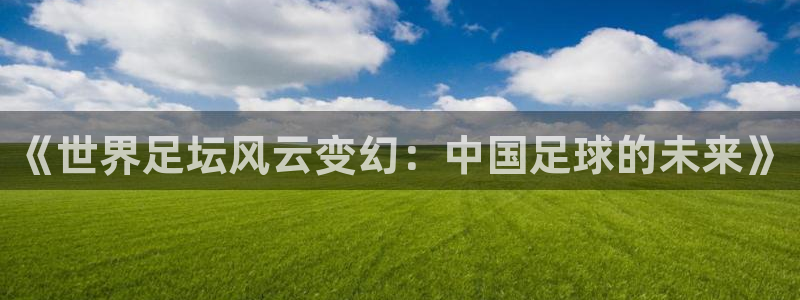 《世界足坛风云变幻：中国足球的未来》