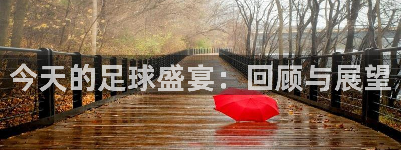 今天的足球盛宴：回顾与展望