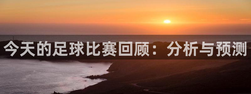 今天的足球比赛回顾：分析与预测
