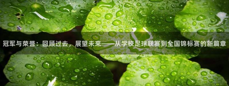 冠军与荣誉：回顾过去，展望未来——从学校足球联赛到全国锦标赛
