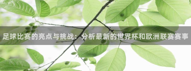 足球比赛的亮点与挑战：分析最新的世界杯和欧洲联赛赛事