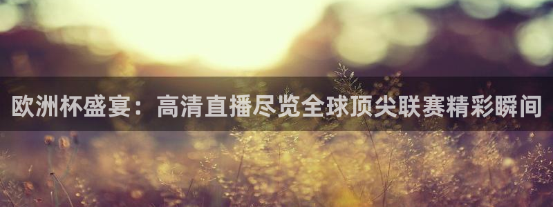  欧洲杯盛宴：高清直播尽览全球顶尖联赛精彩瞬间