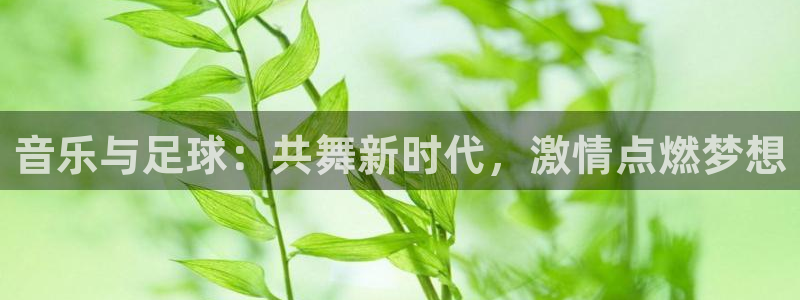 音乐与足球：共舞新时代，激情点燃梦想