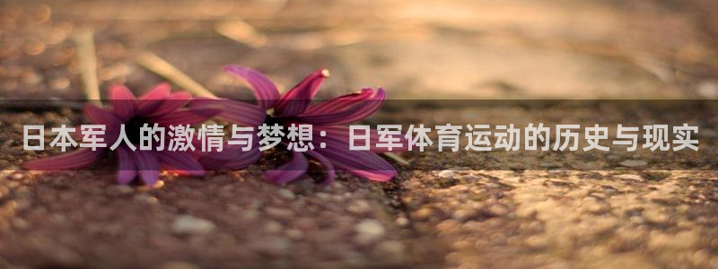 77体育app下载官网
