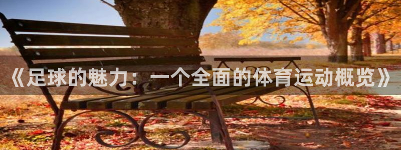 77体育官网