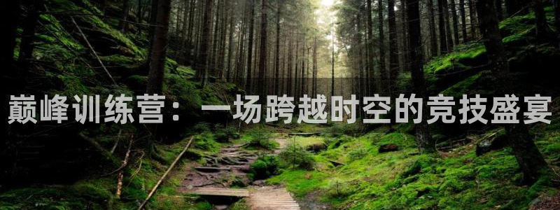 77体育官网