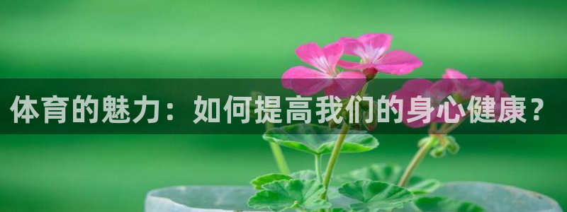 77体育官网
