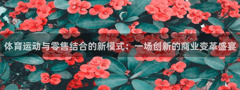 77体育app下载官网