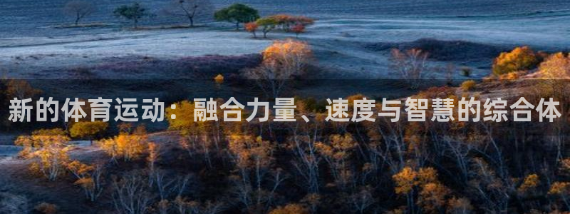 77体育