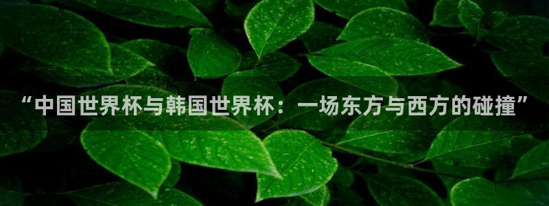 “中国世界杯与韩国世界杯：一场东方与