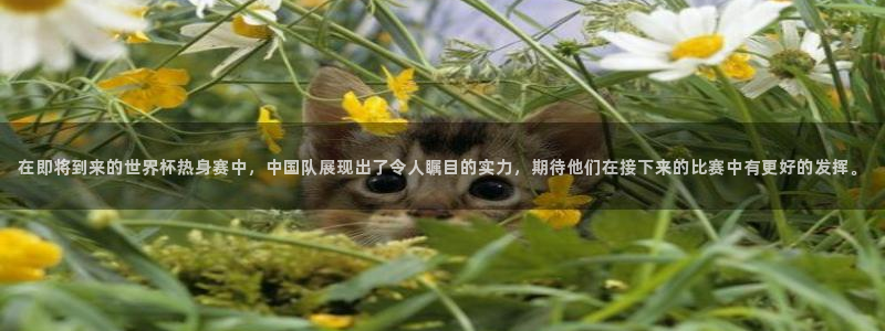 在即将到来的世界杯热身赛中，中国队展