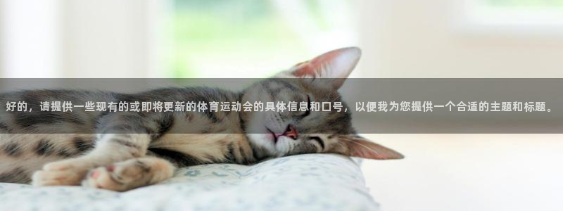 77体育官网