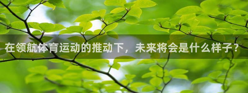 77体育
